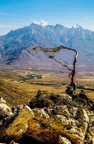 Socotra - Analogue photography!