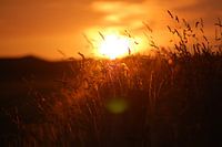 zonsondergang