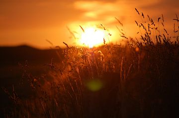 zonsondergang van Rob de Jong