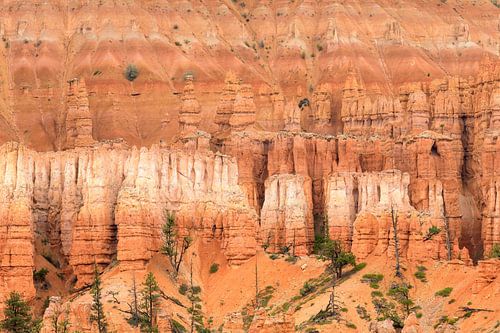 Bryce Canyon: Een Natuurlijke Kathedraal
