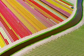 holländsk abstraktion i färg. by Anders Andersson