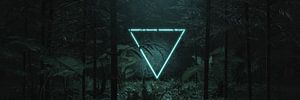 umgedrehtes Dreieck Frame im Neon Licht umgeben von tropischen Pflanzen und Bäumen von Besa Art