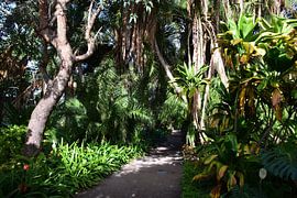 The path to adventure by F.A.L.K.E. photography and art