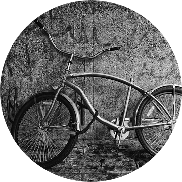 Afgedankte kapotte fiets zonder zadel van Yvonne Smits
