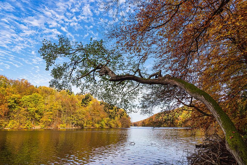 View across Lake Schmaler Luzin to the autumnal Feldberge mountains by Rico Ködder