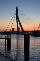 Erasmusbrug Rotterdam in avondlicht.