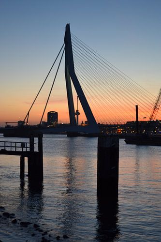 Erasmusbrug Rotterdam in avondlicht. by Aletta Smits-Hessels