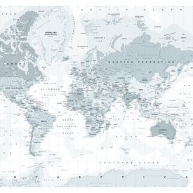 Decorative World Map in shades of grey by Emma Kersbergen