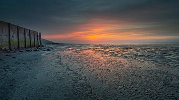 Het geheime waddeneiland Wieringen van Marcel Koomen