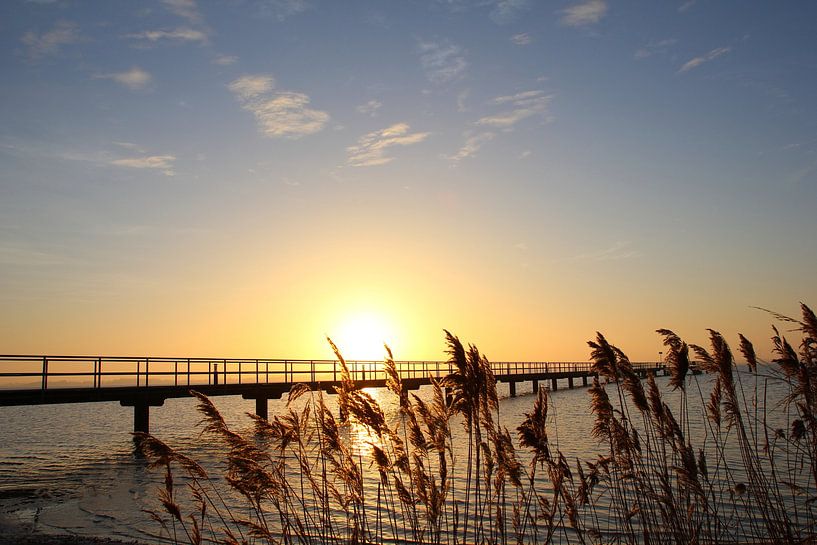 Morning at the Bodden by Ostsee Bilder