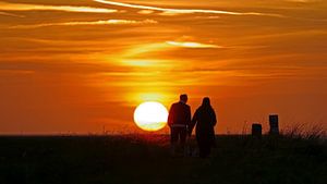 Samen wandelen bij zonsondergang aan de Oosterschelde van Gert van Santen