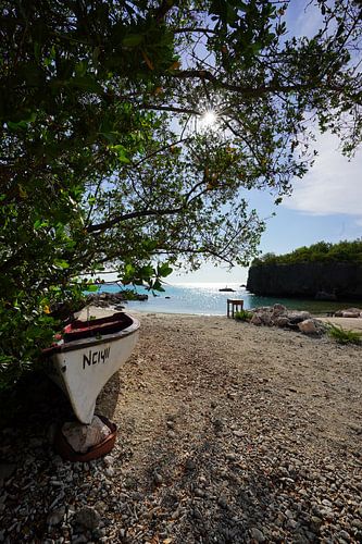 Curacao daaibooi mark I