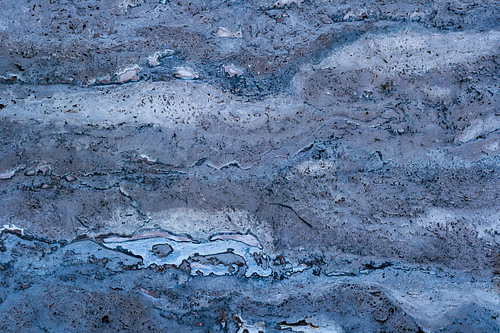 blaue Rinde