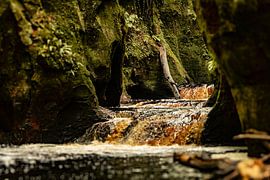 Devil's Pulpit (Finnich Glen) in Scotland by Theo Fokker