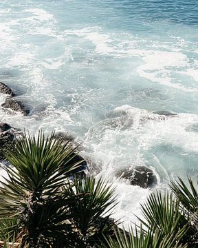 Woeste zee met tropische planten in Gran Canaria van Myrthe Slootjes