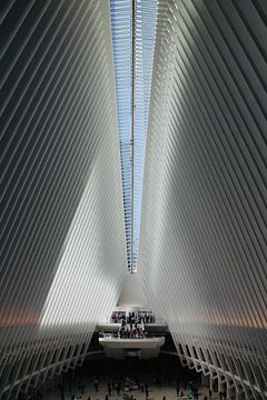 Oculus WTC van Steven van Dijk