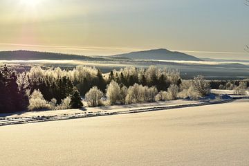 A sunrise on a cold morning in February by Claude Laprise