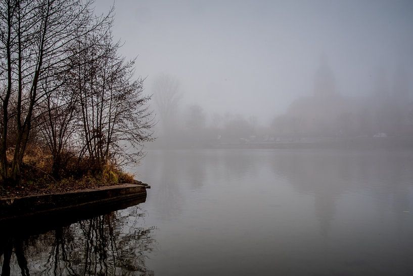 Nebelstimmung von Thomas Riess