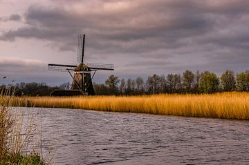 Le Eendrachtsmolen près des lacs de la Rotte, Pays-Bas sur Gijs Rijsdijk