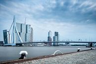 Rotterdam skyline van Lorena Cirstea thumbnail