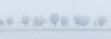 Vreugderijkerwaard in the fog by Erik Veldkamp