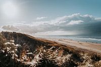 Die Niederlande | Castricum am Meer | Dünen, Strand & Meer