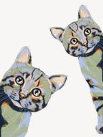 Nieuwschierige katten