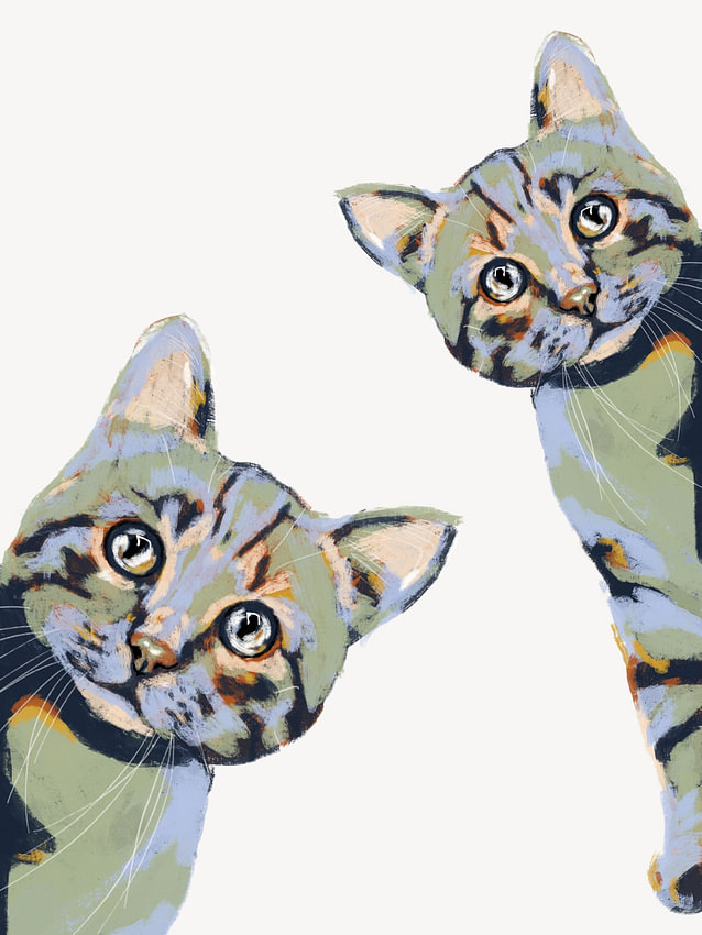 Neugierige Katzen von <span class="secondary-font">Studio Carper</span>