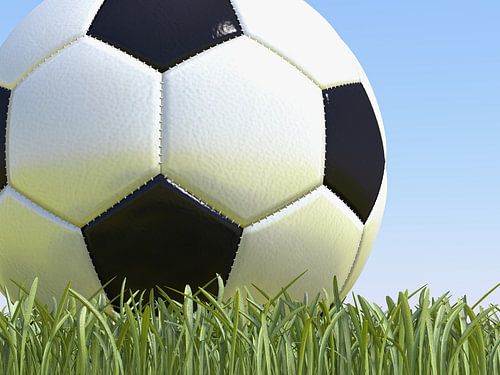 Voetbal op gras