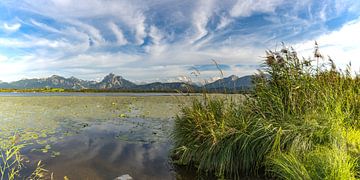 Een zomeravond aan de Hopfensee van Walter G. Allgöwer