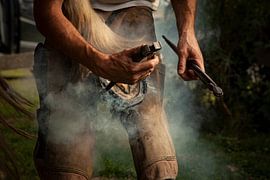 Hoefsmid in actie van anne droogsma