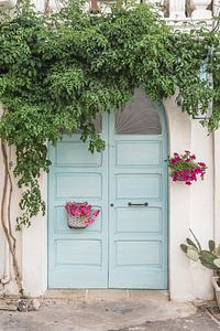 Porte botanique bleue