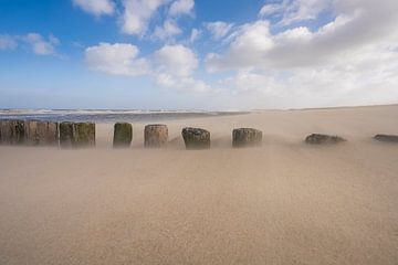 Stuifzand, strand bij Nieuwvliet van Kees van der Have
