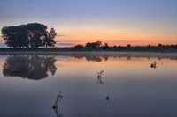 Ooijpolder