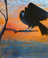 Crow on branch