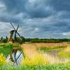 De Noordermolen achter bloeiend koolzaad van Karla Leeftink