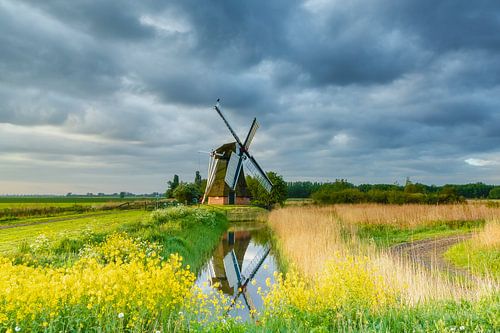 De Noordermolen achter bloeiend koolzaad