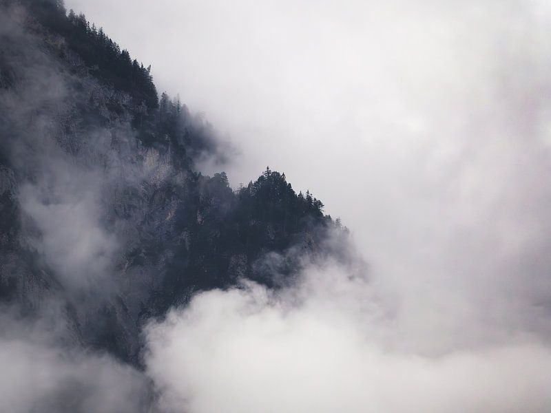 Foggy mood in the Alps by Aurica Voss