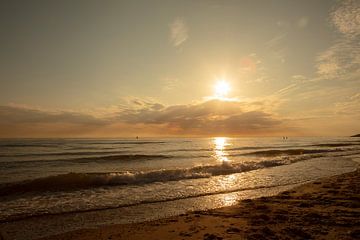 zoutelande westerschelde van anne droogsma