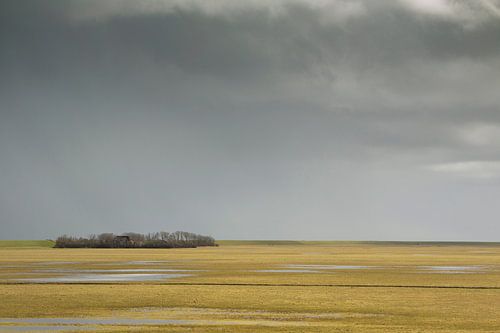 Polderlandschap met plassen en boerderij tussen bomen