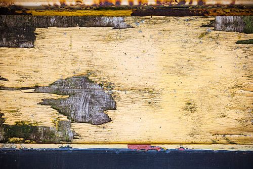 klein visje in de zee