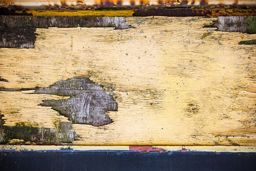 kleine Fische im Meer von Marjolijn Maljaars