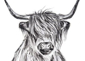 Scottish Highlander watercolor in black and white by Bianca ter Riet