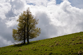 Solitude des Highlands sur Johannes Jongsma