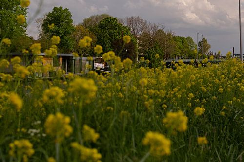 Lente in Utrecht