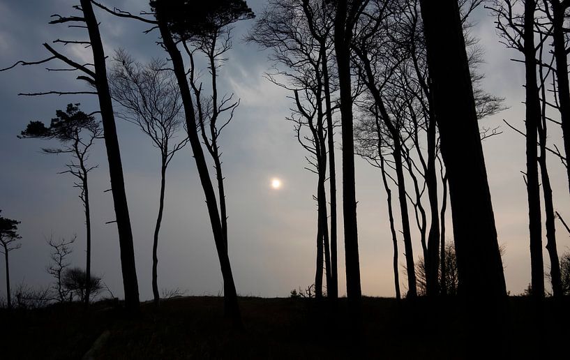 Baltic Sea Landscape by Thomas Jäger