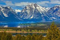 Jackson Lake, Grand Teton NP, Wyoming, USA von Henk Meijer Photography Miniaturansicht