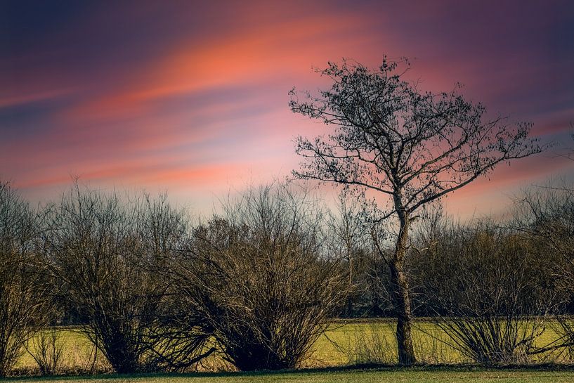 Lente van Photoart-Naegele