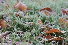 Winter douw by Jelte versendaal