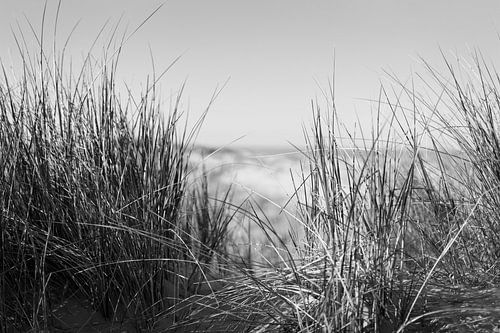 Meerblick in Schwarz-Weiß